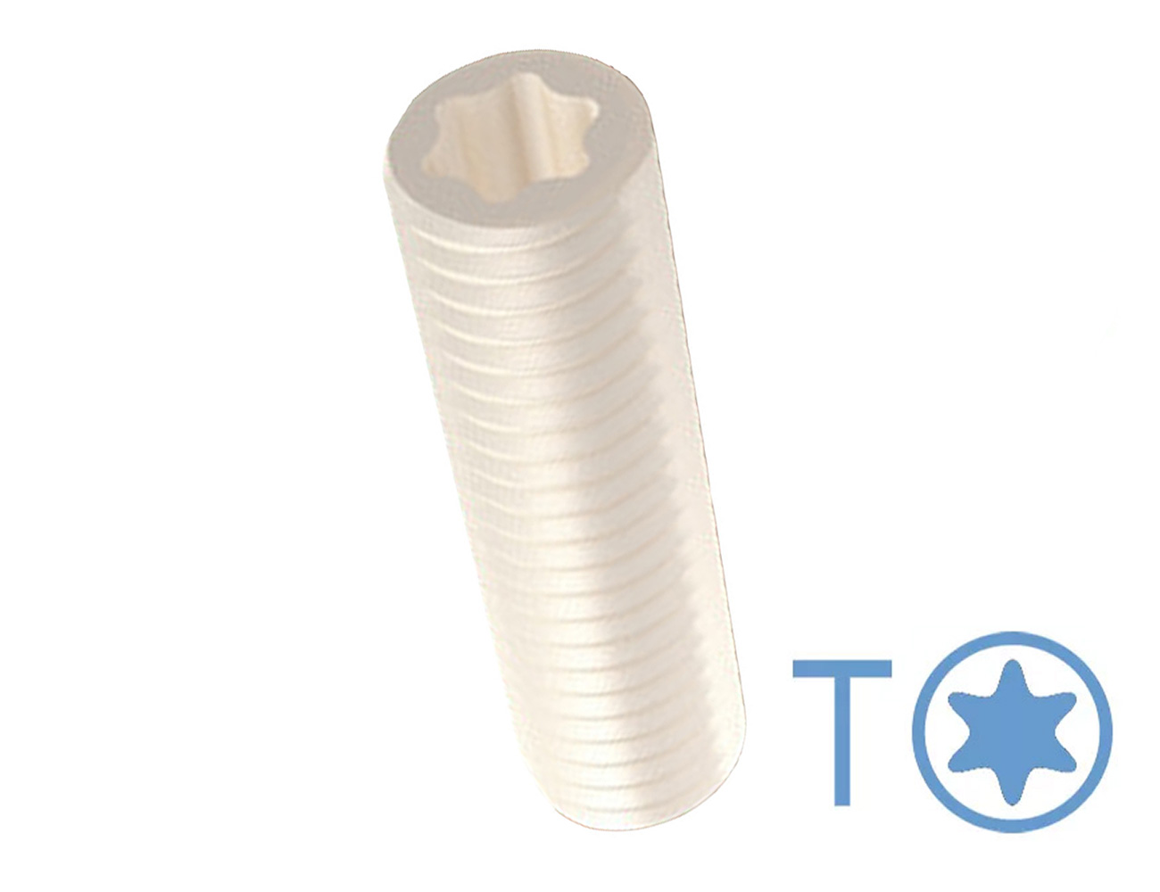 Gewindestifte mit Torx – DIN 913 (ISO 4026) - Kunststoff